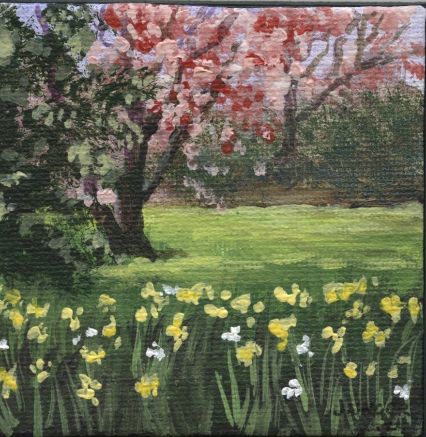 Spring Daffodils