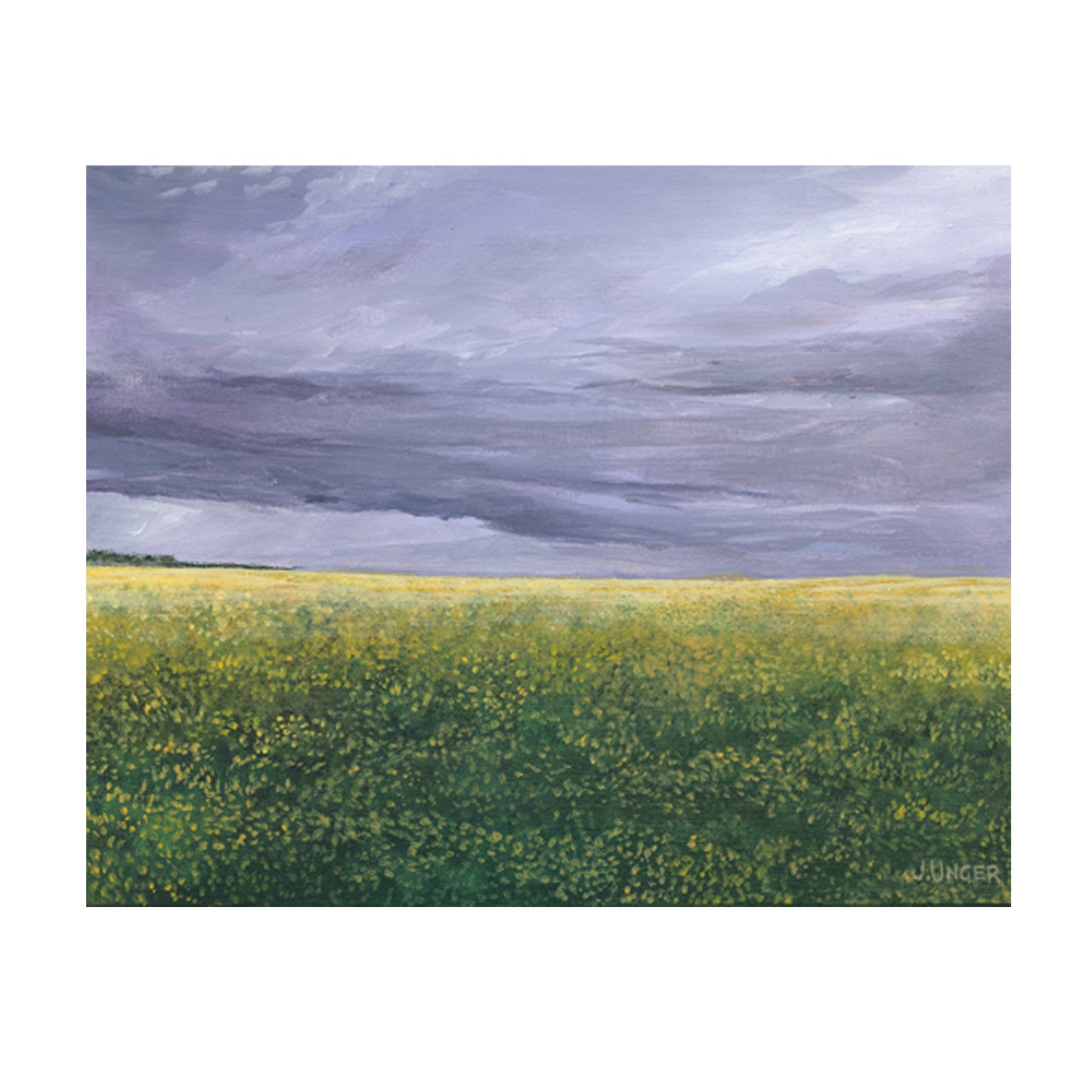 Canola Field, Limited Edition Print, 11 X 14, Signed and Numbered. Unframed.