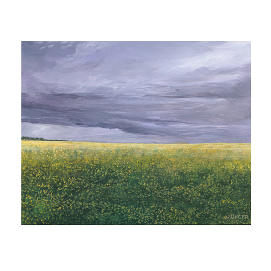 Canola Field, Limited Edition Print, 11 X 14,  Signed and Numbered. Unframed.