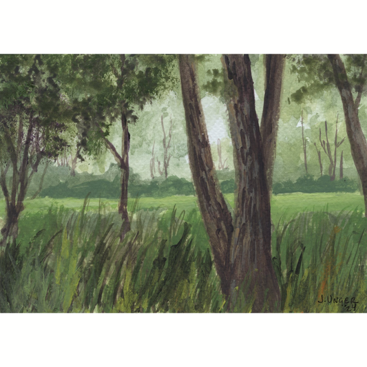 Backyard Musings