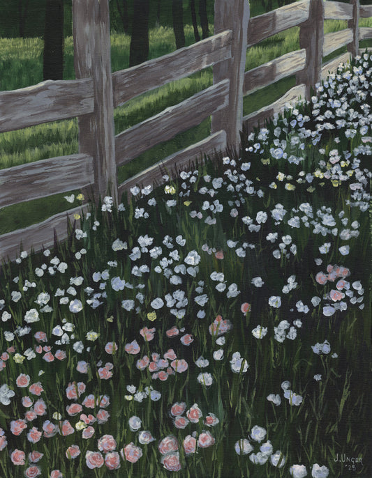 Among the Wild Blooms