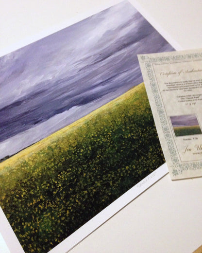 Canola Field, Limited Edition Print, 11 X 14,  Signed and Numbered. Unframed.